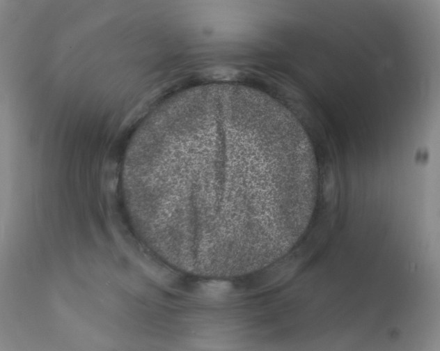 X0000111870374200909031821