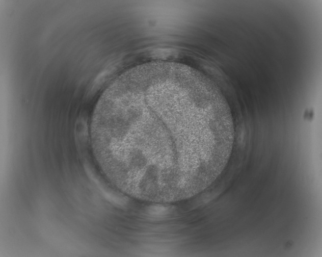 X0000111870375200909031821