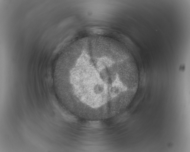 X0000111870377200909031821