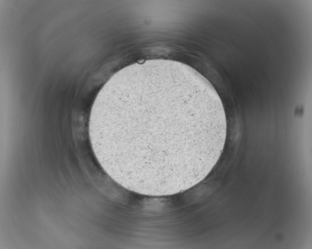 X0000111870378200909031821