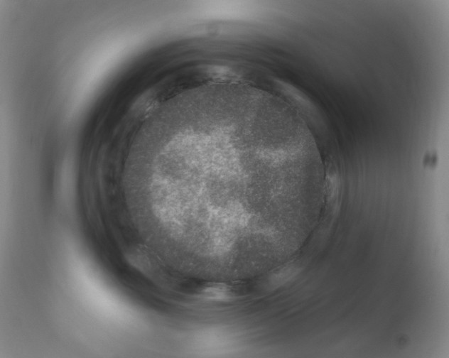 X0000111870381200909031821