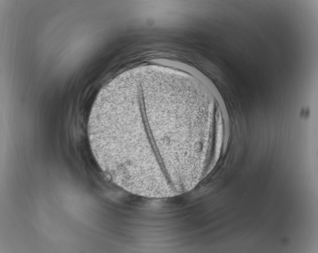 X0000111870382200909031821