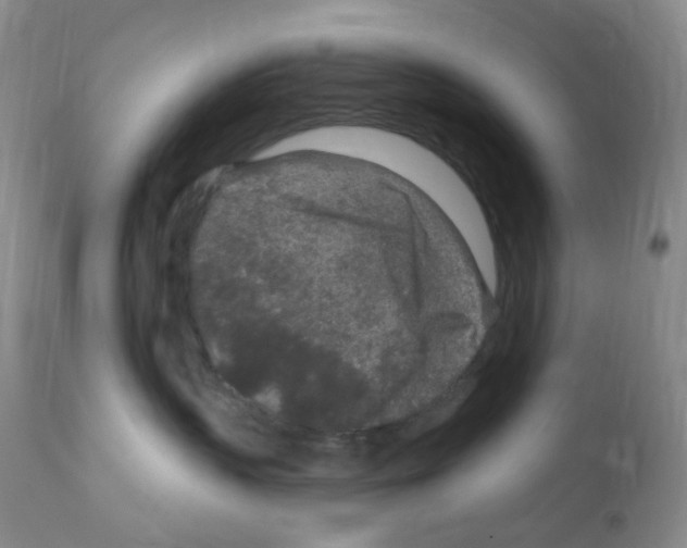 X0000111870383200909031821