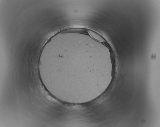 X0000111870385200909031821