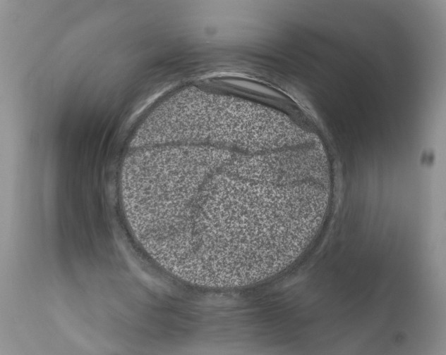 X0000111870386200909031821