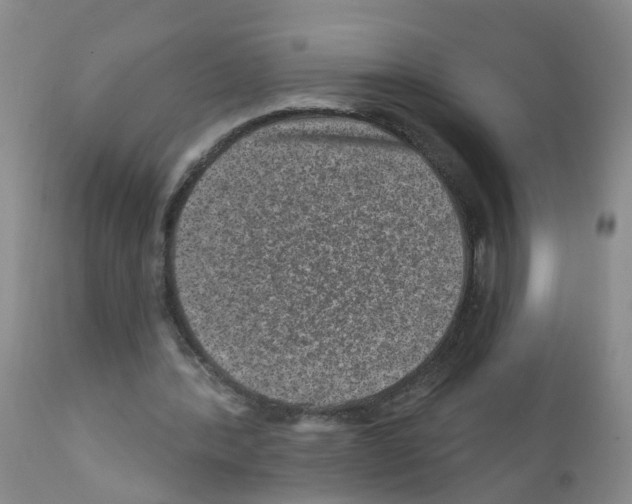 X0000111870388200909031820