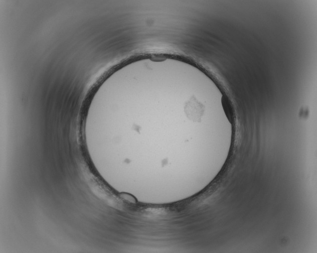 X0000111870391200909031820