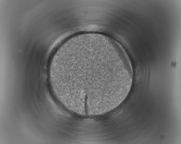 X0000111870392200909031820