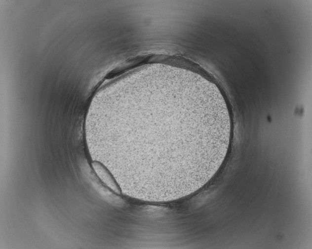 X0000111870393200909031820