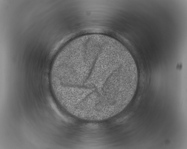 X0000111870394200909031820