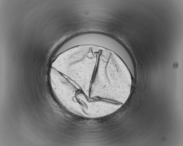 X0000111870395200909031820