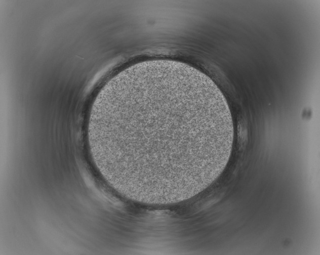 X0000111870396200909031820