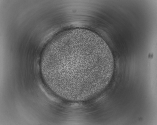 X0000111870398200909031820