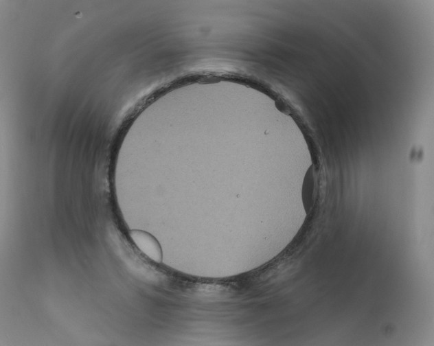 X0000111870399200909031820