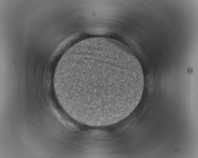 X0000111870400200909031820