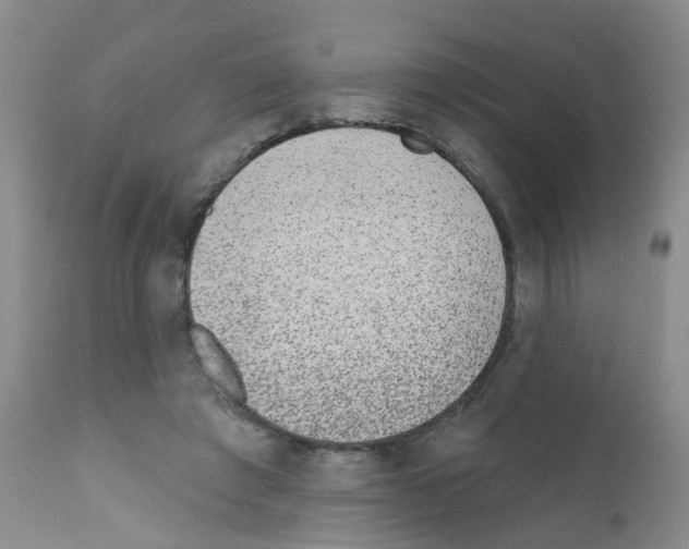 X0000111870401200909031820