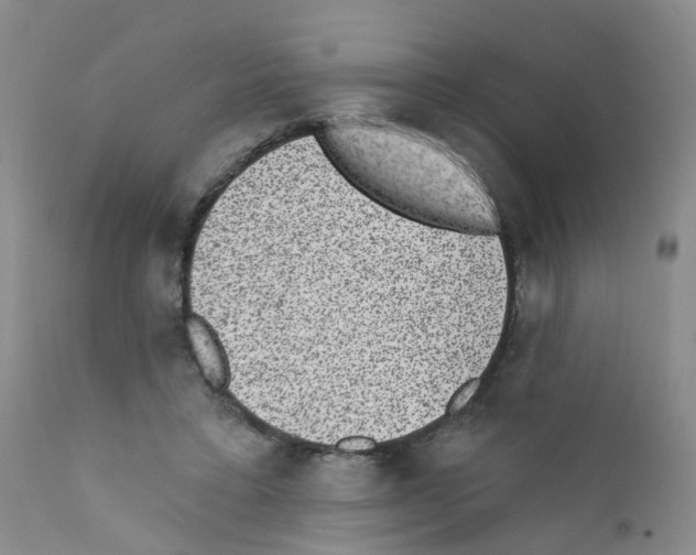 X0000111870403200909031820