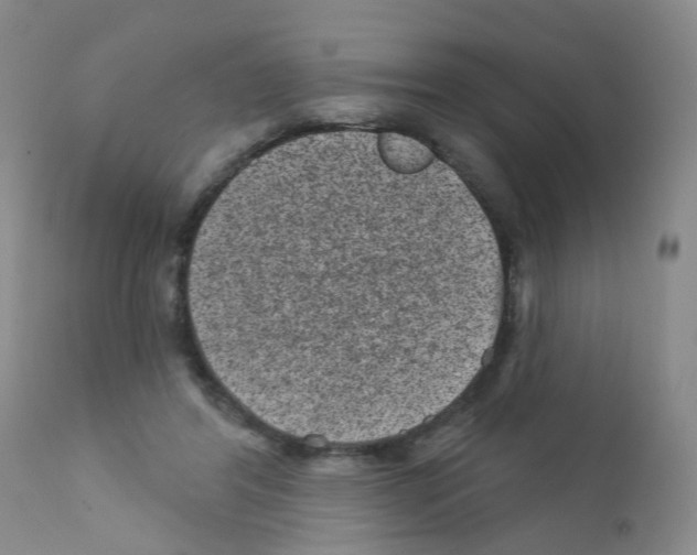 X0000111870404200909031820