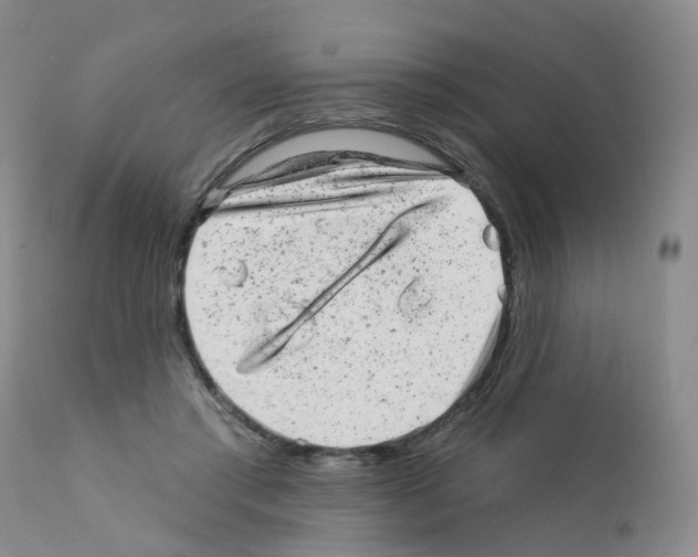 X0000111870405200909031820