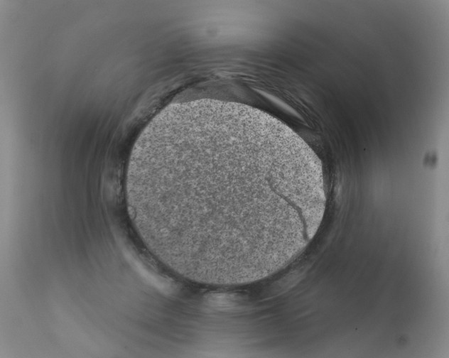 X0000111870408200909031820