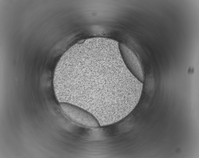 X0000111870413200909031820