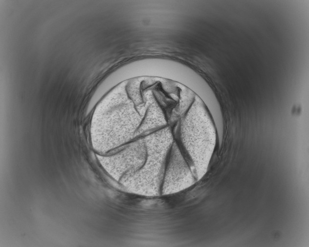 X0000111870415200909031820