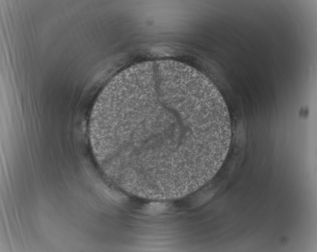 X0000111870418200909031820