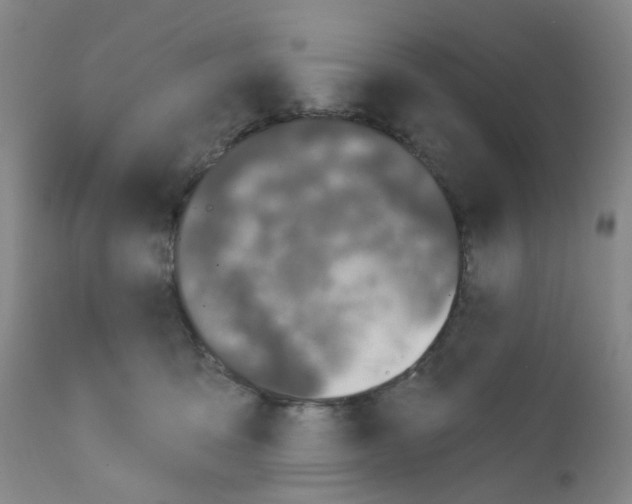 X0000111870419200909031820