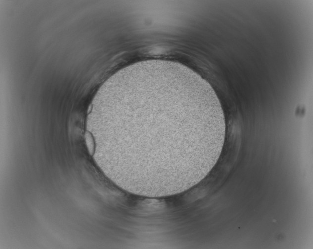 X0000111870421200909031820