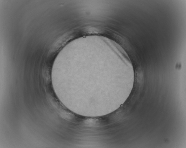 X0000111870422200909031820