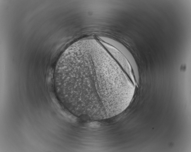 X0000111870423200909031820