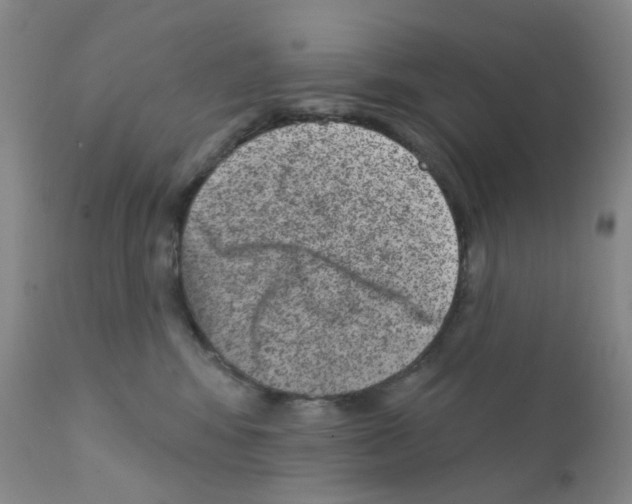 X0000111870424200909031820