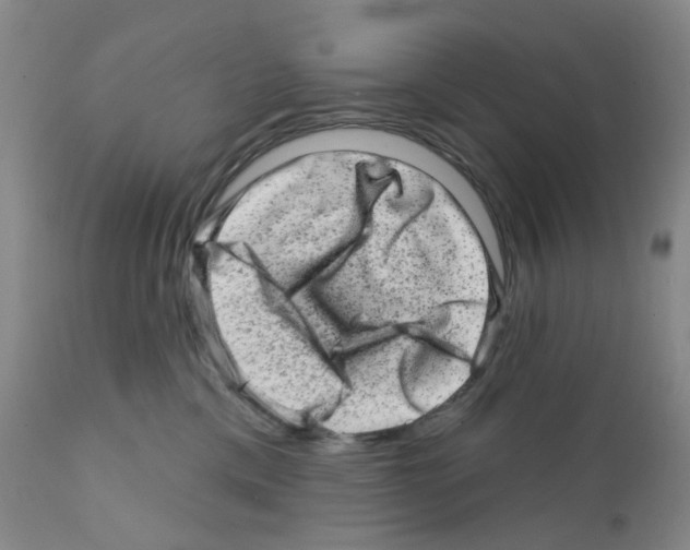 X0000111870425200909031820