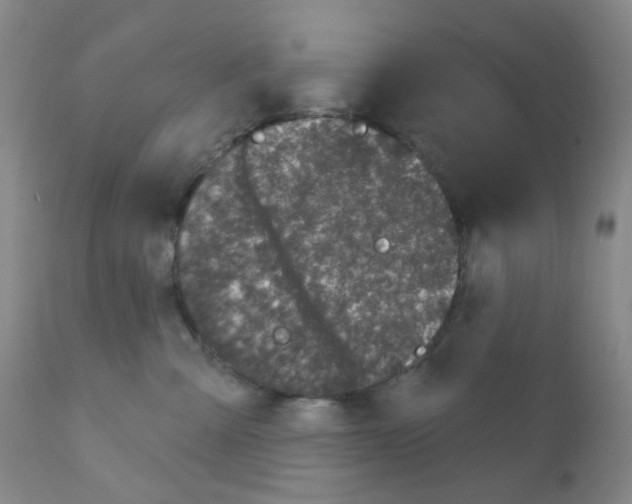 X0000111870427200909031820