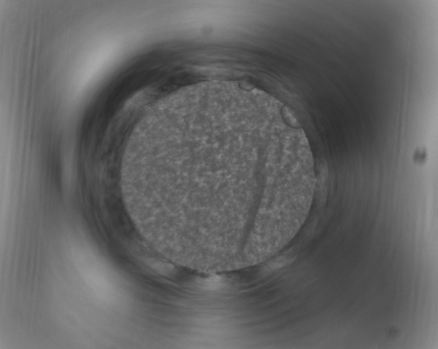 X0000111870430200909031820