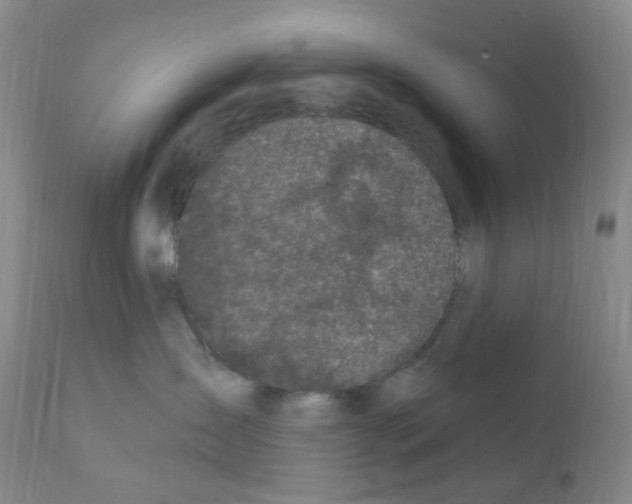 X0000111870431200909031820