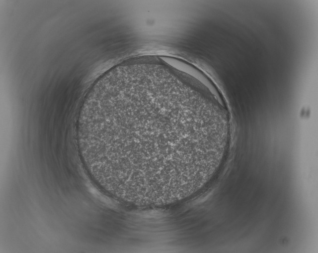 X0000111870433200909031819