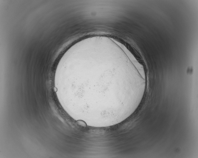 X0000111870435200909031819