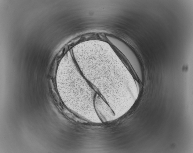 X0000111870436200909031819