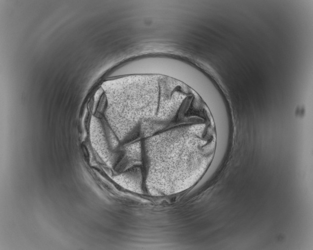 X0000111870439200909031819