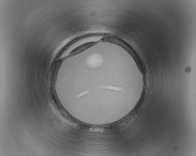 X0000111870440200909031819