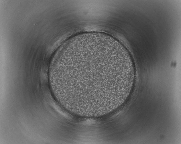 X0000111870441200909031819