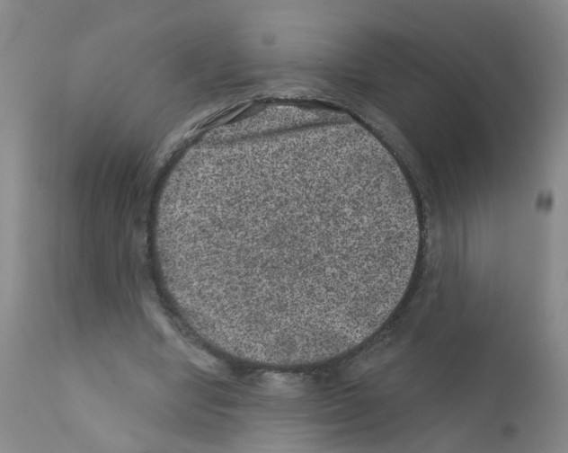 X0000111870442200909031819