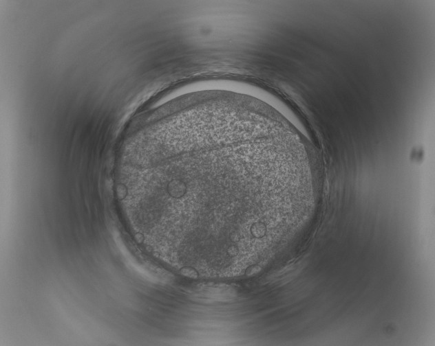 X0000111870443200909031819