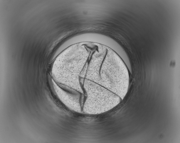 X0000111870444200909031819