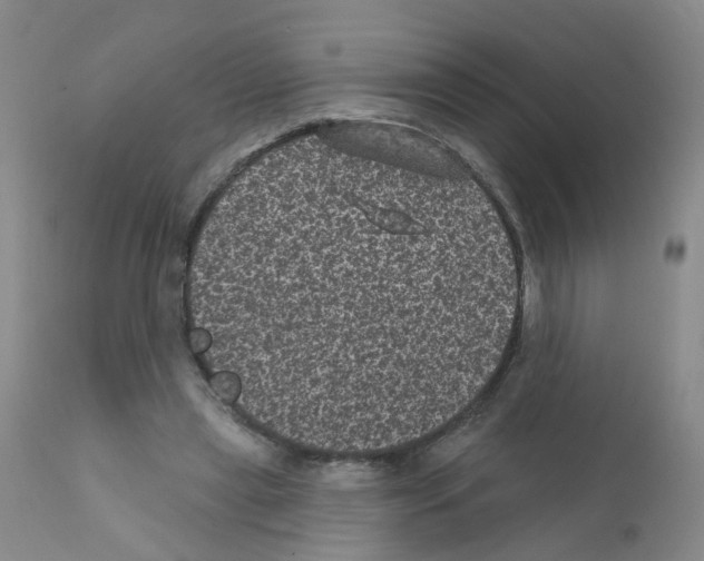 X0000111870445200909031819