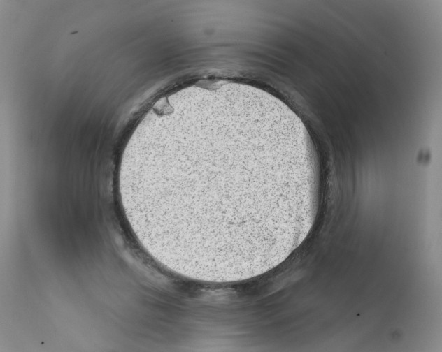 X0000111870446200909031819