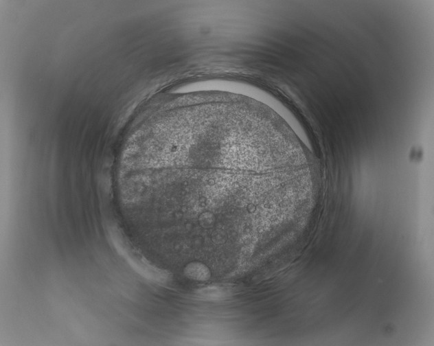 X0000111870447200909031819