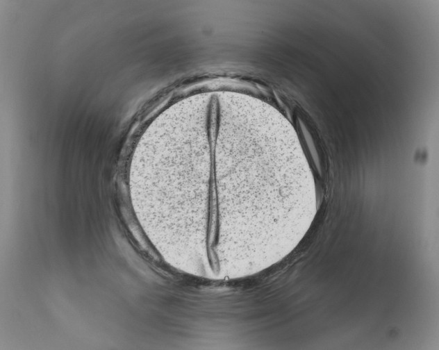 X0000111870448200909031819