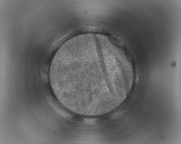 X0000111870450200909031819